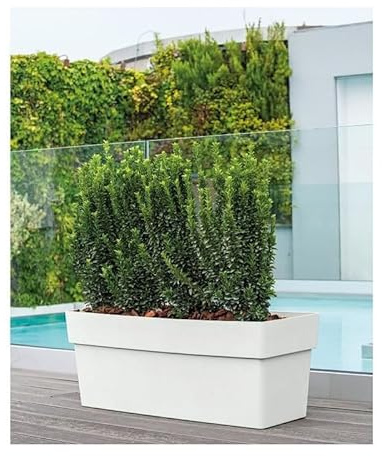 Deroma Blumentopf, Standard