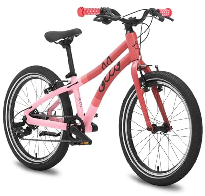 Ollo Adventure Bike 20 Zoll Kinderfahrrad ab 6 Jahren - leichtes Kinder Fahrrad für 120-135 cm Körpergröße mit Aluminiumrahmen, 8-Gang-Schaltung, Bremsen, Schutzblechen, Ständer & Gym Bag