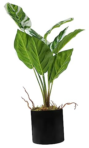 SEWOART Artificial Arrowroot Bonsai for Indoor Lifelike Small Fake Plant Pots Houseplant for Home Decor