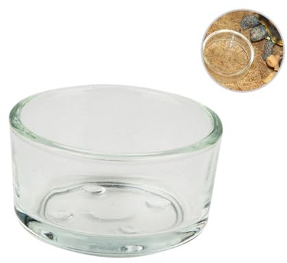 YARNOW 4stücke Teiliges Glas Futter Wassernapf Für Kleine Reptilien Dickes Transparentes Design Leicht Zu Reinigen Multifunktionale Terrarien Trink Fressschale