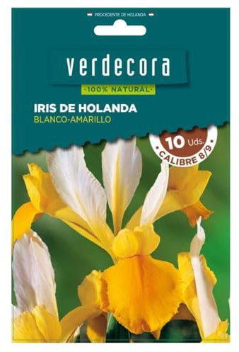 Verdecora Bulbos de Iris de Holanda Blanco y Amarillo (10 uds) | Iris hollandica | Floración en Primavera | Ideal para Jardines y Macetas | Flores Elegantes y Resistentes (PORTES INCLUIDOS)