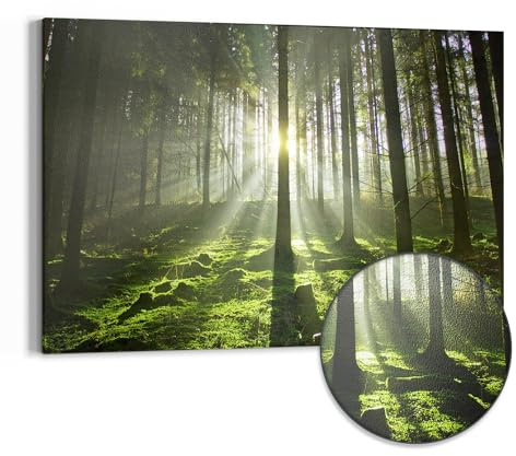 DEQORI Metall Magnettafel | 90x60 cm cm groß | Motiv Waldlichtspiele | Whiteboard für alle Magnete | Magnetboard Wand-Tafel für Küche & Büro | Design Magnetwand Pinnwand magnetisch