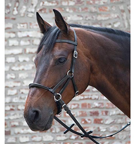 Waldhausen Trensenzaum LTJ Lindel TellingtonJohnes gebisslos Größe/Farbe VB/schwarz