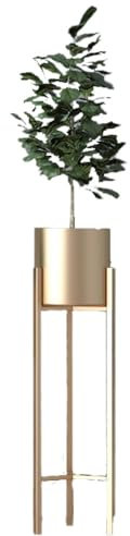 DODOBD Blumentopf Gold Blumenständer Metall für Zimmerpflanzen und Blumen Pflanztopf als Tischdeko Pflanzen Deko und Wohnzimmer Deko Blumenständer aus Metall Schwerlast-Halterungsgestell