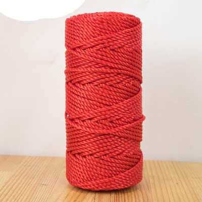 KEOJI 1/2/3/4 MM Polyethylen Nylonseil Seilbindung Gewächshaus Hängender Sämling Klettern Rattan Farbe Dünndraht Geflochtenes Seil-China,Rot