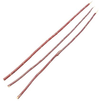 Kisangel 100stücke BBQ Gabeln Aus Holz Praktische Grillspieße Für Für Außenbereich Und Grillpartys Aus Natürlichem Holz Für Sicheres Und Sauberes Grillen