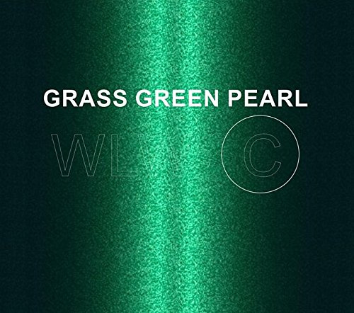 Xtremeauto GRASS GREEN PEARL Heat Resistant Paint 250ML Brush ON…