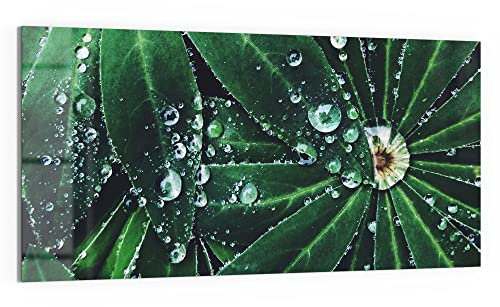DEQORI Glas-Magnettafel | 100x50 cm groß | Motiv Wasserperlenverzierung | Memo-Board aus Glas | Magnetboard inkl. Magnete, Stift & Tuch für Küche & Büro | Tafel magnetisch & beschreibbar