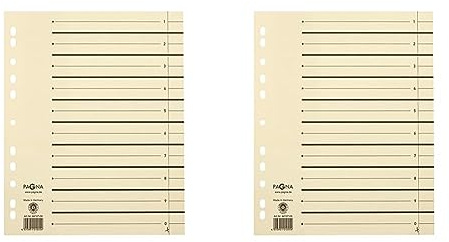Pagna 44108-09 PAGNA Trennblätter 300x245x27 chamois 230g/qm, Inh.100 (Packung mit 2)