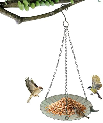 Mangeoire pour oiseaux pour l'extérieur - Mangeoire à suspendre en fer avec grande capacité - Distributeur de nourriture pour oiseaux pour l'extérieur - Pour jardin, cour, balustrade, balcon
