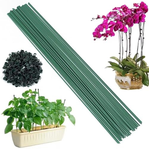 20 varillas de soporte para plantas, 30 cm, soporte para plantas de jardín con 20 clips de orquídea para peonías, tomates, rosas, trepadoras