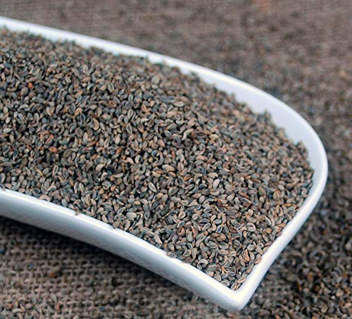 Krauterino24 - Petersiliensamen ganz, Menge:500g
