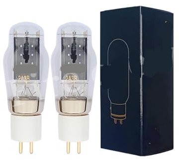 2A3B Vakuumröhre ersetzt 2A3 2A3C WE2A3 2A3-TII E-2A3 HiFi Audio Röhrenverstärker Verstärker Kit DIY(2pcs Matched Pair)