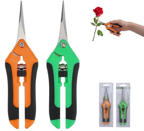 2 Pièces Secateur de Jardin Professionnel, Ciseaux Bonsai Sécateur de Précision Lame Ergonomique, Cisaille de Jardin Coupe Branche pour Plantes, Fleurs, Branches, Roses, Bonsaïs, Légumes, Fruits