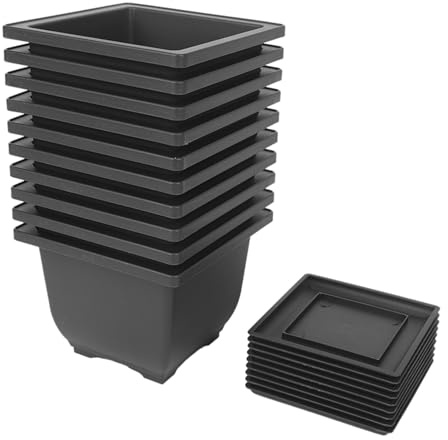Vasi quadrati con vassoi, 13 cm, in plastica, per bonsai, set da 10 pezzi, colore nero