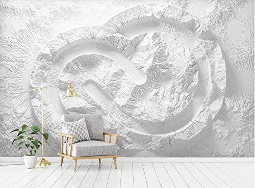 LIWALLPAPER Papier Peint Panoramique Peinture Murale Interieur Relief En Plâtre Blanc Tapisserie Murales Papier Peint 3D Salon Chambre Décoration 250cmx175cm