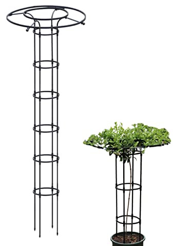 jardin grimpantes et fleurs,Parapluie grille verticale | Jardin extérieur intérieur en pot support pour fleurs légumes fruits vignes Hongjingda