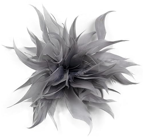 Damen Federbrosche,Flauschige Feder Brosche Straußenfeder Brosche Braut Hochzeit Kopfschmuck Kostüm Deko Federn Haarschmuck Haarklammer Brosche für Frauen Mädchen Halloween Party Dekoration