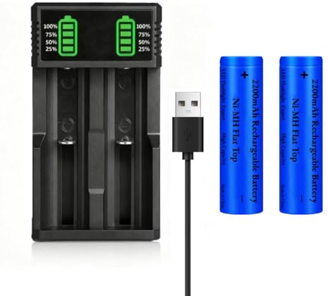 USB Caricabatterie con 2 Pezzi 2200 mAh Batterie Flat Top Ni-MH, 2 Baie Display LCD Caricatore USB Universale Batteria Caricatore per Fotocamera/Piccolo Ventilatore/LED Lampada Frontale/Luci Solari