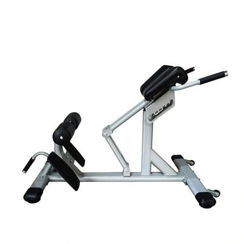 RNXRZANK Fitness Trainingsbank Hyperextension Römischer Stuhl Rückenbank Bauchtrainer mit Stahlrahmen Und Polsterauflagen Variable Positionierung für, Silber