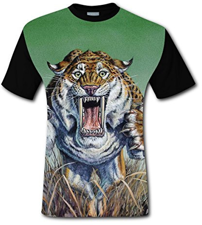 215/60R16 99V Fortune FSR401 XL Reifen Ganzjahr PKW