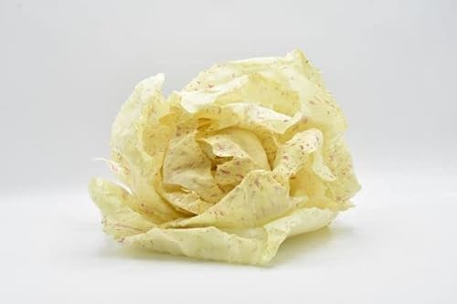 Radicchio bianco o variegato 3 kg