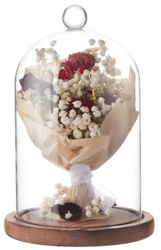 BENECREAT Cloche con Cupola In Vetro Da 18x12 cm e Base In Legno, Campana Rustica con Campana In Vetro Trasparente per Piante, Lucine O Decorazioni per La Tavola