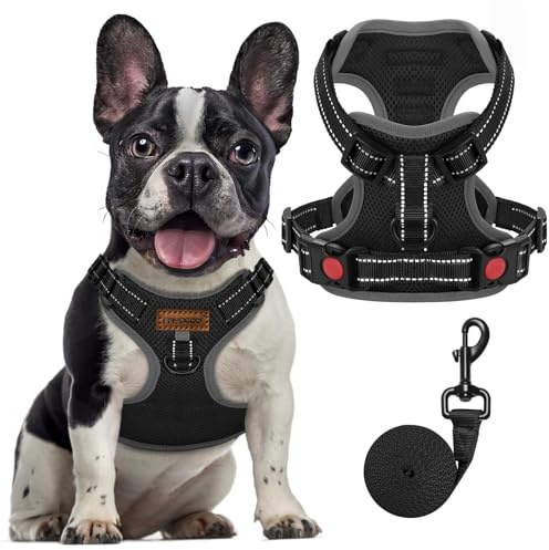 FAYOGOO Hundegeschirr, Kein Choke Front Clip Hund Reflektierendes Geschirr, No-Pull Verstellbare Weiche Gepolsterte Haustier Weste Set für kleine Mittlere Große Hunde Gehen (Schwarz, S)