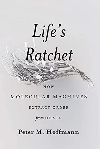 Life's Ratchet: How Molecular Machines Extract Order from Chaos