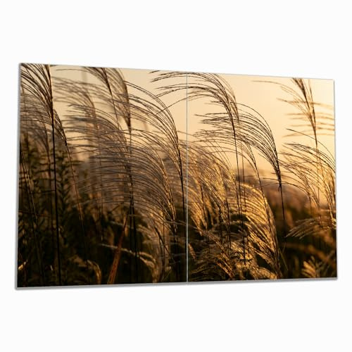 Wallario Herdabdeckplatte/Spritzschutz aus Glas, 2-teilig, 80x52cm, für Ceran- und Induktionsherde, Schilf im Wind