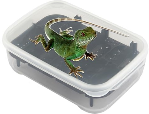 Zwpontia Reptilien-Brutkasten | 14 Gitter Gecko Schlüpfbecken | Transparente Zuchtbox Reptilienlebensraum für Klettern Transport Zuhause Indoor Männer Frauen Züchter Spinne Skorpion