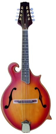 mandolin instrument Mandolin F style eight string professional instrument