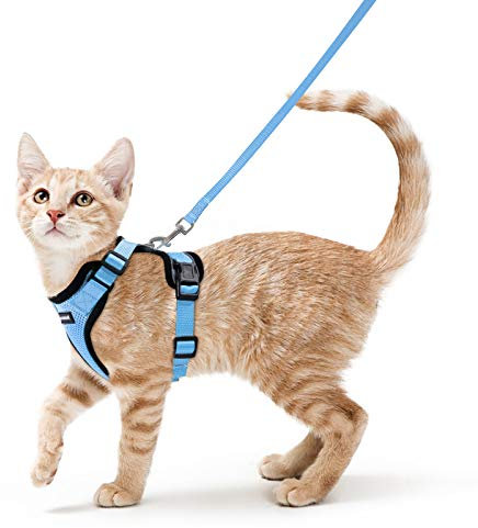 rabbitgoo Katzengeschirr mit Leine Softgeschirr für Katze Brustgeschirr Cat Harness Katzengarnitur Ausbruchsicher Verstellbar Katzenweste Hellblau XS