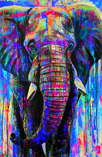 XCSQTYMY Malen Nach Zahlen Bunter Elefant DIY Ölgemälde Vorgedruckt Leinwand Paint by Numbers Geschenk für Home Wall Dekor Malen Nach Zahlen Erwachsene