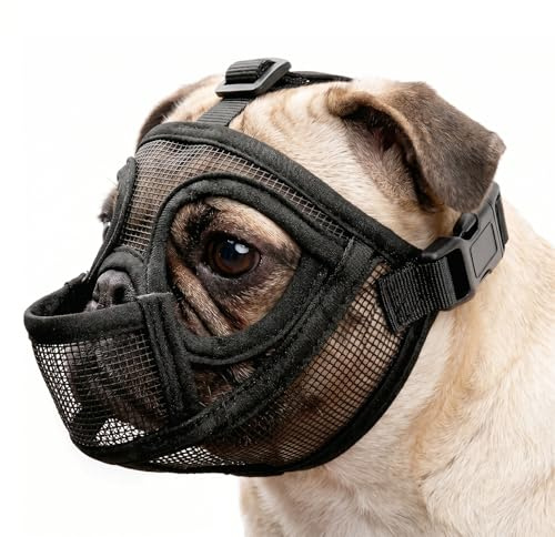 CATELL Französische Bulldogge Maulkorb Maulkorb Kleine Hunde Giftköderschutz Hund mit Abgeflachter Schnauze Anti Biting Kauen Bellen Mesh Dog Muzzle Einstellbare Atmung Mesh (Schwarz M)