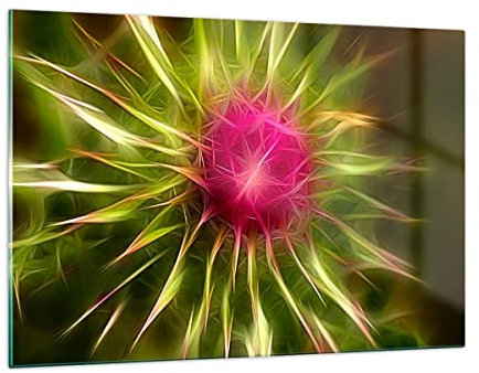 Wandbilder Dekoration Wohnzimmer Grafik Blume Pflanze Licht leuchten Bilder auf Glas 120x80cm Glasbild Schlafzimmer Küche Deko Wand Kunstdruck Art Groß XXL Wanddeko Bild im Glas Modern GAA120x80-0329