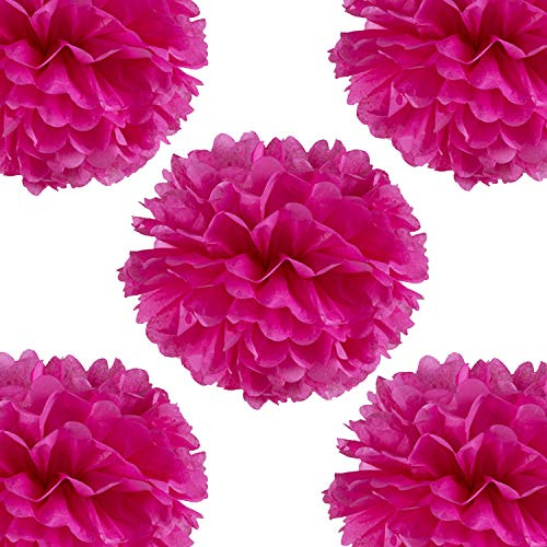 14 Hot Pink Tissue Pom Poms DIY Decorative Paper Flowers for Baby Shower Nursery Birthday Party Wedding Backdrop Home Outdoor Hanging Decorations, Pack of 10