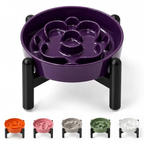 Ciotola Cane Anti Ingozzamento Rialzata - Scodella in Ceramica con Supporto Antiscivolo in Acciaio Inox - Ciotola per Cani Piccoli per l’Alimentazione Lenta - Altezza 10 cm - Viola