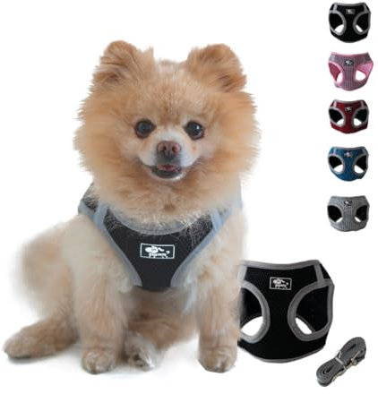 NEEZ Premium Geschirr für Katzen und kleine Hunde mit Leine | Super Bequeme Katzenweste | Ausbruchsicher und atmungsaktiv | Farbe: Schwarz/Grau Größe: S