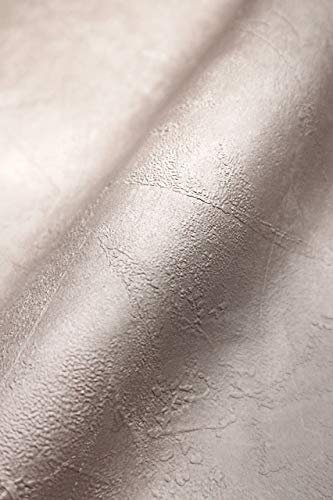 NEWROOM, carta da parati in tessuto non tessuto, colore crema, effetto cemento – universale, moderno, grigio, struttura a intonaco, tinta unita, effetto cemento con istruzioni per tappezzeria