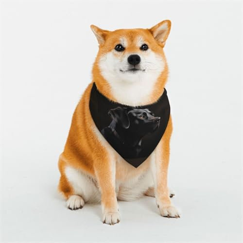 Hundehalstuch, Motiv: schwarzer Labrador, Größe M, verstellbar, dreieckig, doppelt, wendbar, waschbar, für mittelgroße und große Hunde, Welpen, Katzen, Geschenk