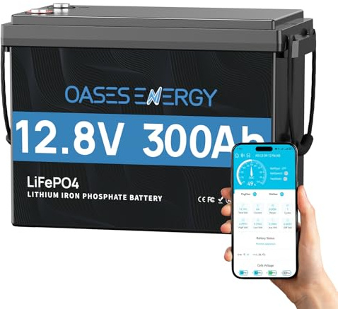 Oasesenergy 12V 300Ah LiFePO4 Batterie Mini, mit Bluetooth 200A BMS, Bis zu 15000 Zyklen, 3840Wh Lithium Akku, perfekt für Wohnmobile, Solaranlage, Wohnwagen, Off-Grid-Systeme,Camping, Boot