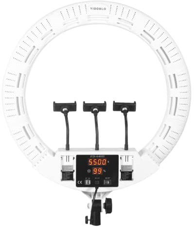 100W 22-Zoll super helles LED digitales Display Ringlicht Kits,Lampe für Make-up Schönheit Nagel Haut Beleuchtung,Video-Studio-Fotografie,mit Handtasche,Stativ und Remote Control