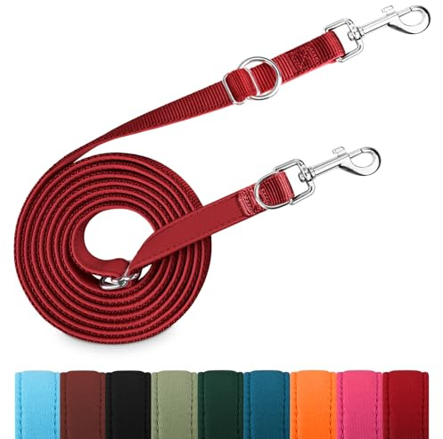 Hundeleine für Kleine & Mittelgroße Hunde bis 30 kg, 3 m Verstellbare Schleppleine Doppelleine, Verdickte Freihandleine Übungsleine Führleine aus Nylon mit 2 Karabiner, Weinrot