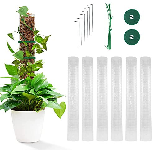 Longzhuo Plastic Moss Pole, 6pcs Moss Pole for Monstera, 61cm/24inches Coco Coir Poles Moss Stick for Climbing Plants, Plant Poles for Support with 20m Twist Ties for Plants to Grow Upwards