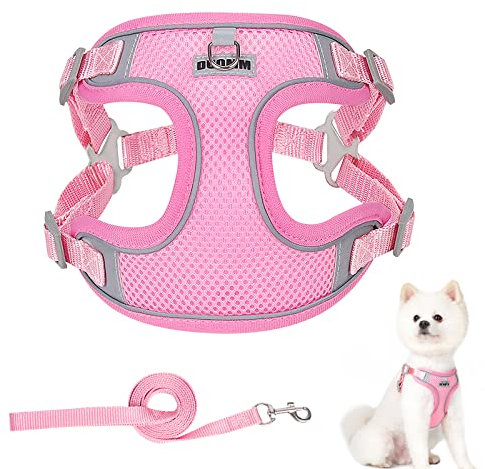 Dog Harness and Lead Set, Adjustable No Pull Dog Vest Harness, Reflective Anti Pull Pet Vest Harness for Puppy Small Dogs