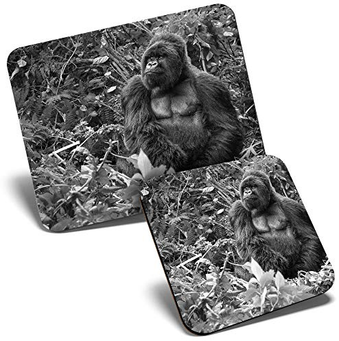 Mouse Mat & Coaster Set - BW - Silverback Mountain Gorilla 23.5 x 19.6 cm & 9 x 9 cm for Computer & Laptop, Office, Gift, Non-slip Base #38827