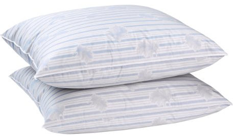 Blanrêve - Juego de 2 almohadas Antan - Naturales y ecológicas - Pluma - 60 x 60 cm - Fabricado en Francia