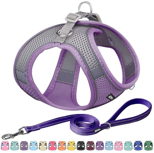 AIITLE Petit Harnais pour Chiot avec Laisse - Harnais Gilet pour Chien avec Maille Super Respirante pour Marche en Extérieur, Course pour Petits Chiens, Chats Violet XXS