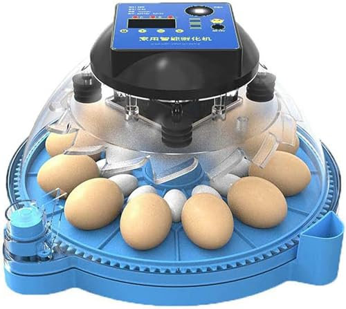 OZBMA Incubatrici per Uova, Incubatrice Rotonda per Uccelli da Cortile, Incubatrice con Schermo Digitale e Controllo Automatico della Temperatura, per incubare quaglie, Colombe, oche e Pulcini